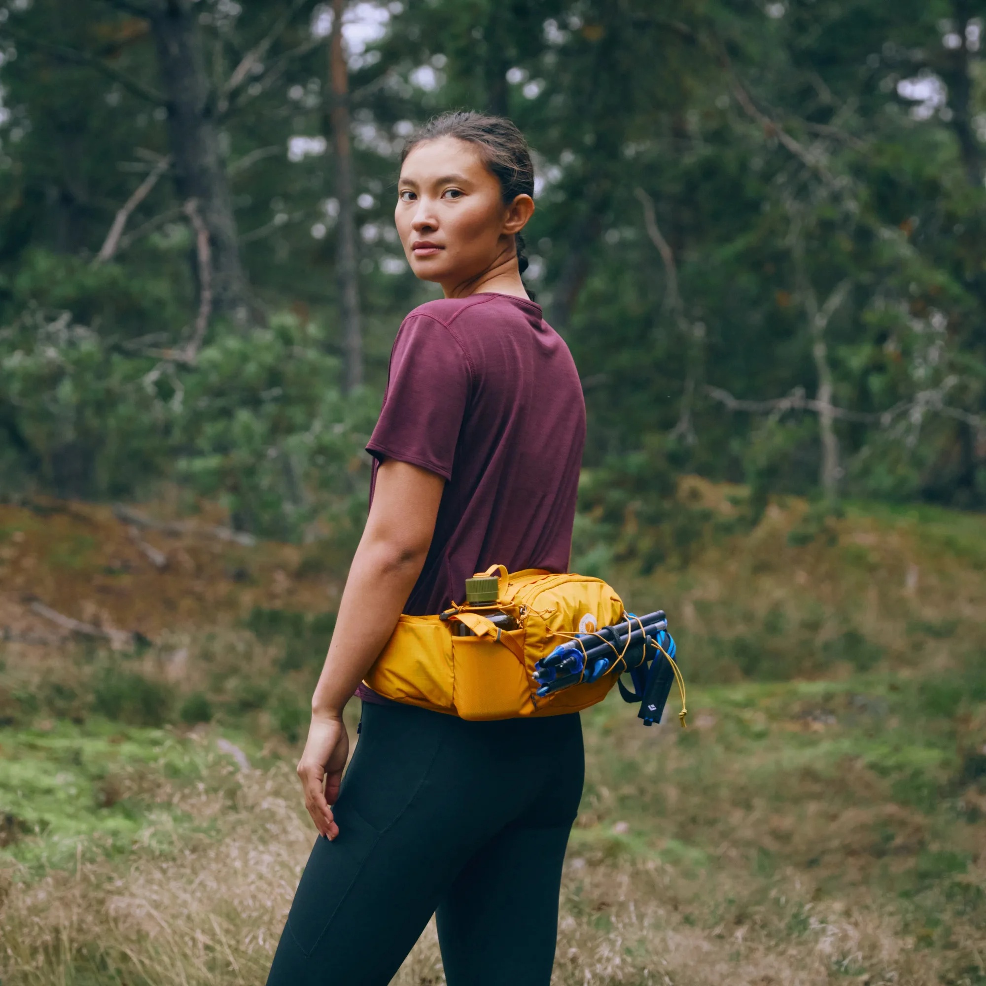 Abisko Hip Pack 6